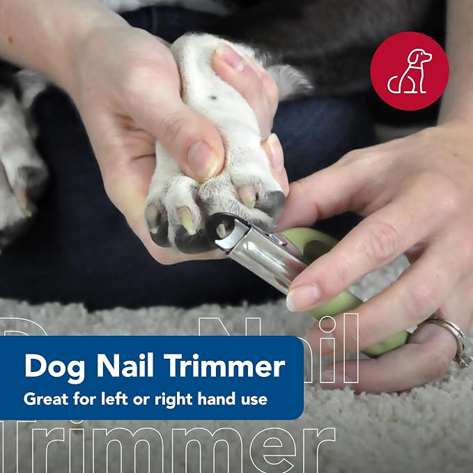 Coastal Pet Safari Guillotine Dog Nail Trimmer, Large