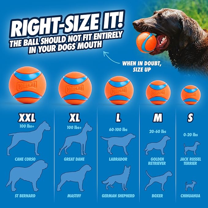 Chuckit! Sport 14S Manual Ball Launcher for Small Dogs | Chuckit Sport 14S Ball Launcher: 14-In Manual Thrower with 2-In Ball, Fits Small Dogs up to 20 lbs