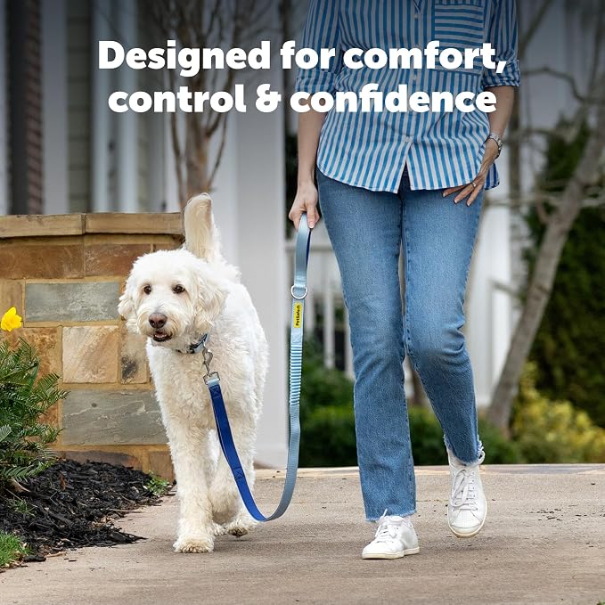 PetSafe Comfort 4 ft Bungee Dog Leash, Green | Shock-Absorbing Bungee Flexes on Pulls, Dual Handles for Control, Reflective Stitching, Built-in D-Ring for Off-Leash Storage
