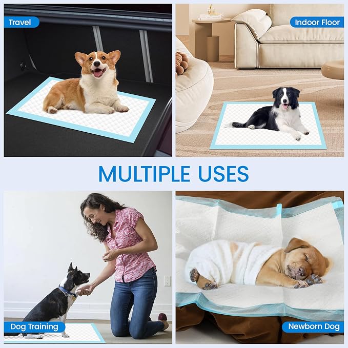 22" x 23" Pee Pads for Dogs, 6 Layers Super Absorbent, Leak Proof Quick Drying Pet Pee Pads, Training Puppy Pads - 10 Count