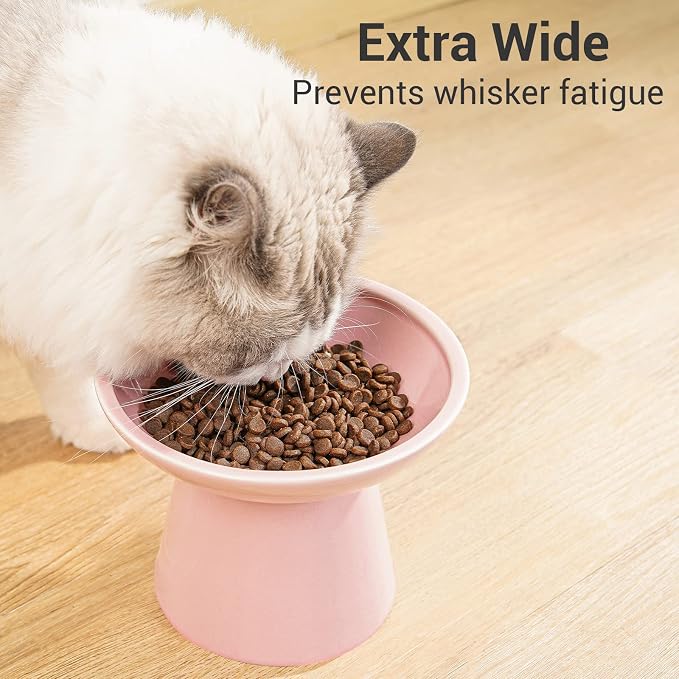 CEEFU Extra Wide Elevated Ceramic Cat Bowl, 6.2" Shallow Dish for Whisker Fatigue Relief, 5" Height for Easy Feeding, Durable Raised Cat Food Bowls, Pack of 2, Pink