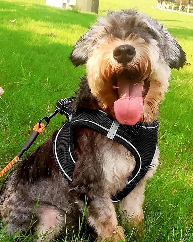 Joytale Step-in Dog Harness, Soft Breathable Mesh, Black L | Adjustable Fit for Small Dogs, Easy Step-in with Secure Fastener, Even Chest Pressure, Reflective For Night Safety, Washable