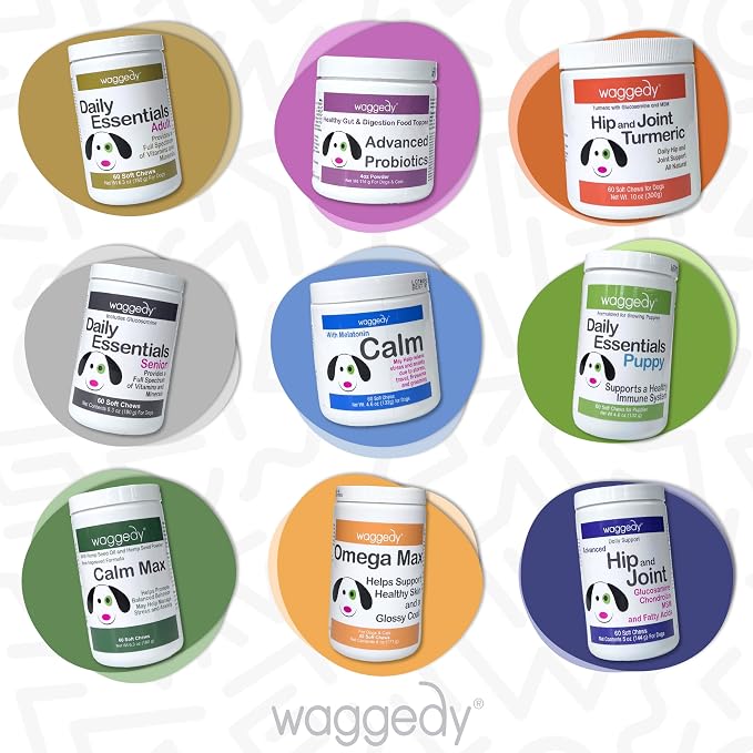 waggedy Daily Essentials Puppy – Full-Spectrum Functional Treats, Small or Large Breed Puppy Supplements – Dog Supplements & Vitamins – Dog Essentials for Puppies (60 Chews)