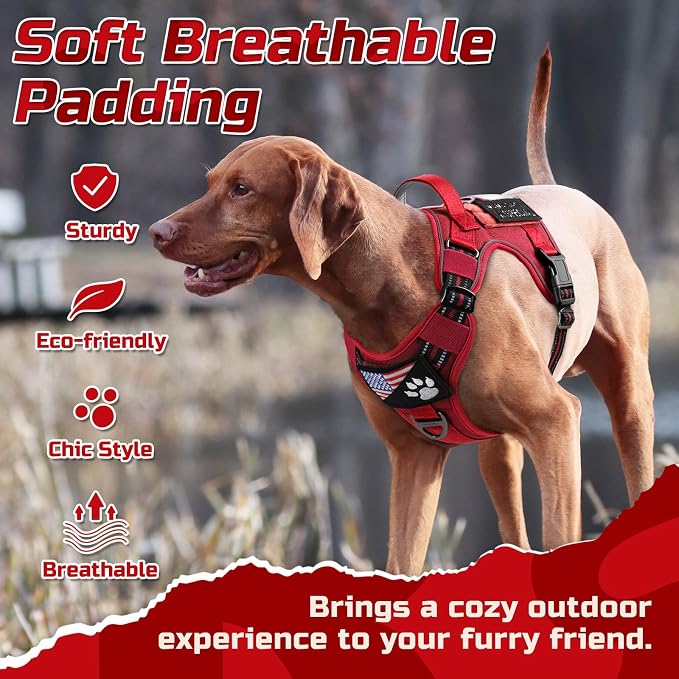 rabbitgoo Tactical Dog Harness for Medium, No Pull Military Service Vest | Molle & Handle, Heavy Duty, Adjustable, Reflective Straps, Easy Control for Training Walking, Red, Medium
