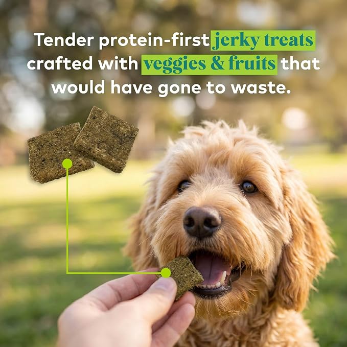 Honest to Goodness Protein Bites Turkey & Pumpkin Dog Jerky, 5.5 oz