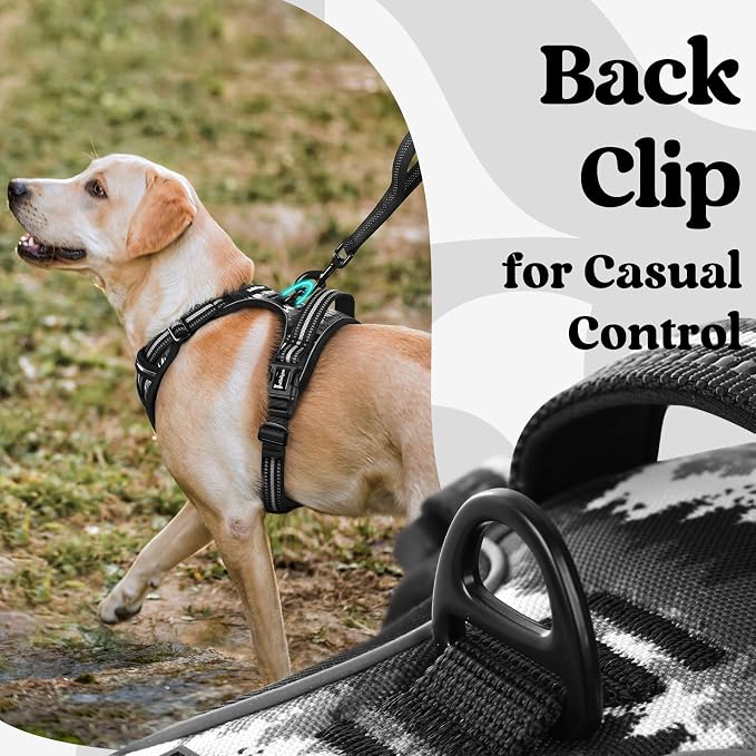 rabbitgoo Dog Harness for Large, Updated Easy On & Off with 3 Buckles | No Pull No Choke, Walking with 2 Clips and Handle, Adjustable Soft Reflective, Mountain Black, X-large
