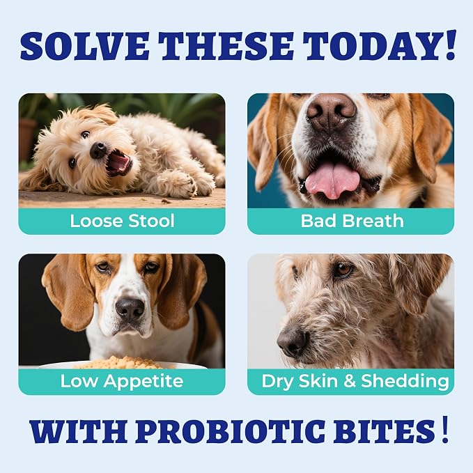 Wellix 19.04oz Probiotics for Dogs - Probiotics & Prebiotics with Pumpkin