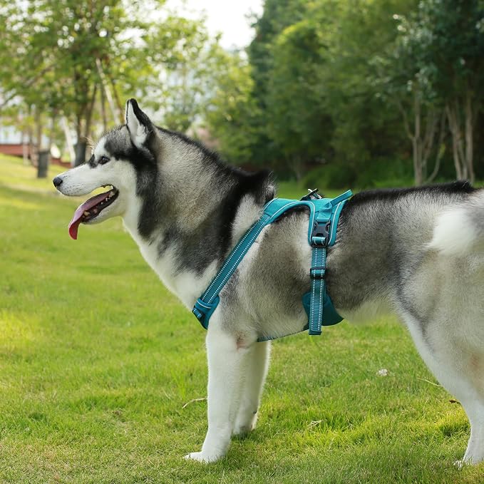 Voyager Dual Attachment No Pull Harness - Turquoise, X-Large | 28 - 37" in Chest, No Pull Dog Harness, Fully Adjustable, 3M Reflective Technology, Front & Back D-Rings, Walking & Training