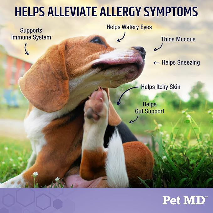 Pet MD Allergy Aid - Dog Allergy Chews with Quercetin & Pumpkin - 60ct