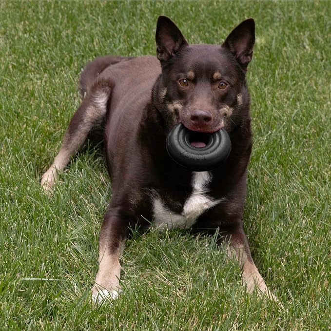 KONG Extreme Donut, Durable Natural Rubber Chew Toy, for Large/X-Large Dogs | Made from KONG's Toughest Natural Rubber for Power Chewers, Safe on Teeth & Gums with a Fun Bounce & Roll