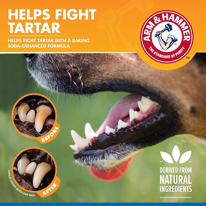 Arm & Hammer Tartar Control Dental Spray for Dogs, Mint, 4 Fl Oz | Brushless breath freshener with baking soda helps reduce plaque and tartar buildup
