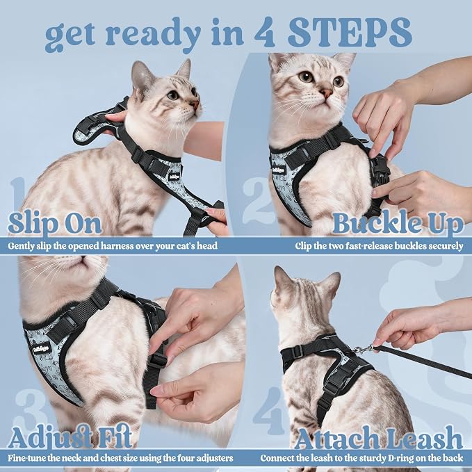 rabbitgoo Cat Harness and Leash Set, Escape Proof Vest, Doodle Gray | Soft Breathable Mesh, Easy Adjustable Fit, Snap Buckles, Sturdy Clip, Reflective Strips, for Medium to Large Cats Walks, M