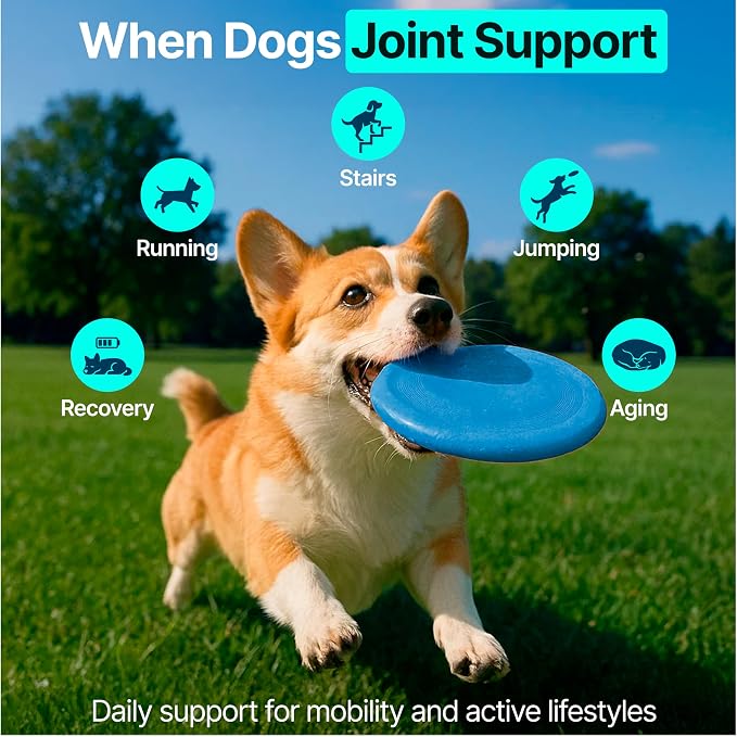 Hip and Joint Supplement for Dogs – Glucosamine for Dogs, Dog Joint Supplement, Mobility, Flexibility & Comfort, Chews with Glucosamine Chondroitin Msm & Omega3, 2 Pack,340 Chews,Made in USA