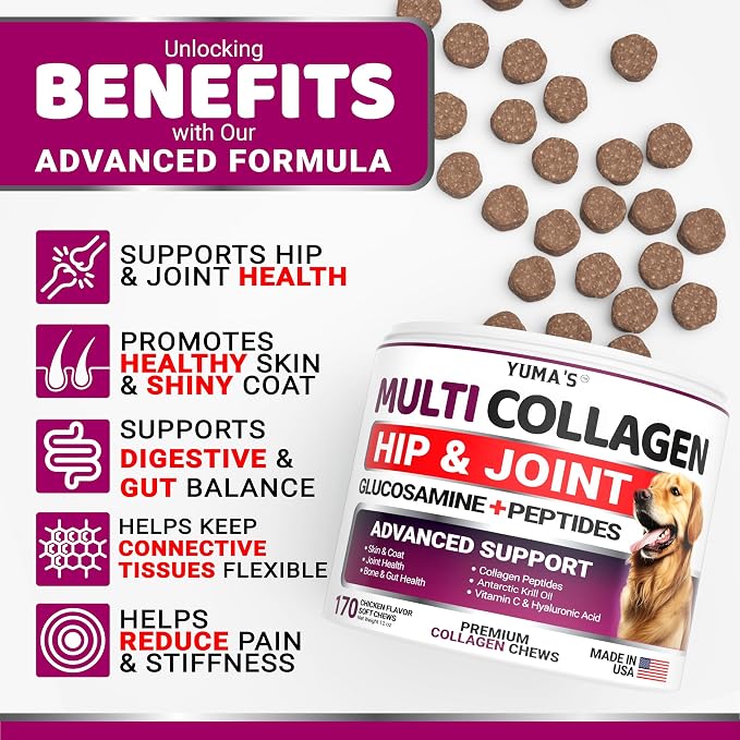 Advanced Collagen for Dogs - 170 Chews - Hip and Joint Supplement Peptides