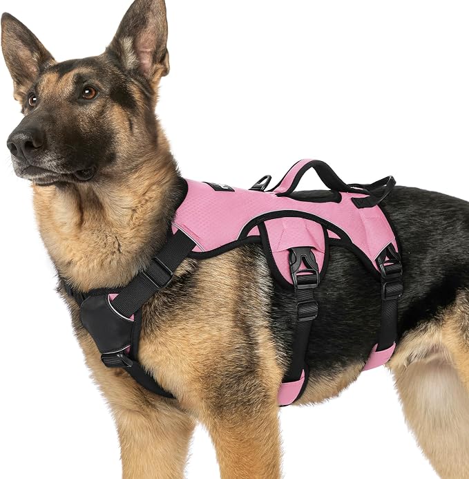 rabbitgoo Escape Proof Dog Harness for X-Large, No Pull with Lift Handle | No Escape, Full Soft Padded, Reflective Adjustable Vest, Leash Clip for Walking Hiking Training, Pink, X-Large