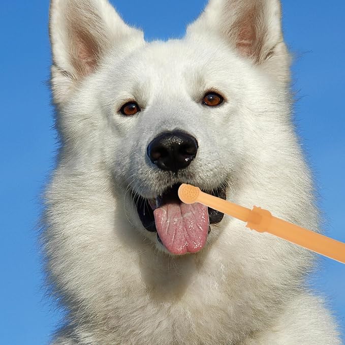 POPETPOP 1 Set Pet Toothbrush Puppy Toothbrushes Toothbrush for Dogs Single-Head Brush Dog Tooth Brush Handheld Pets Toothbrush Single-Head Dog Toothbrush pet Supplies