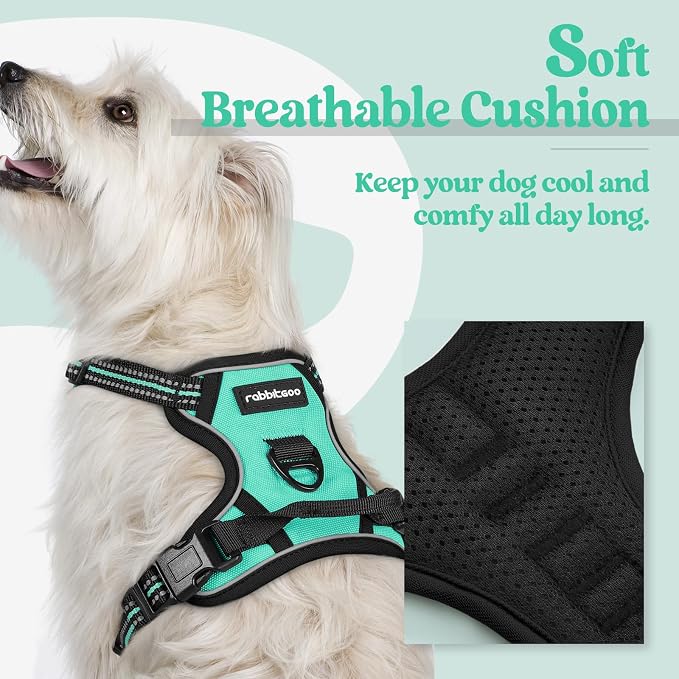 rabbitgoo Dog Harness, No Pull for Small Dogs with 2 Leash Clips, Pet Vest | No Choke with Handle, Adjustable Soft Padded, Reflective, Easy Control for Walking, Turquoise, X-Small