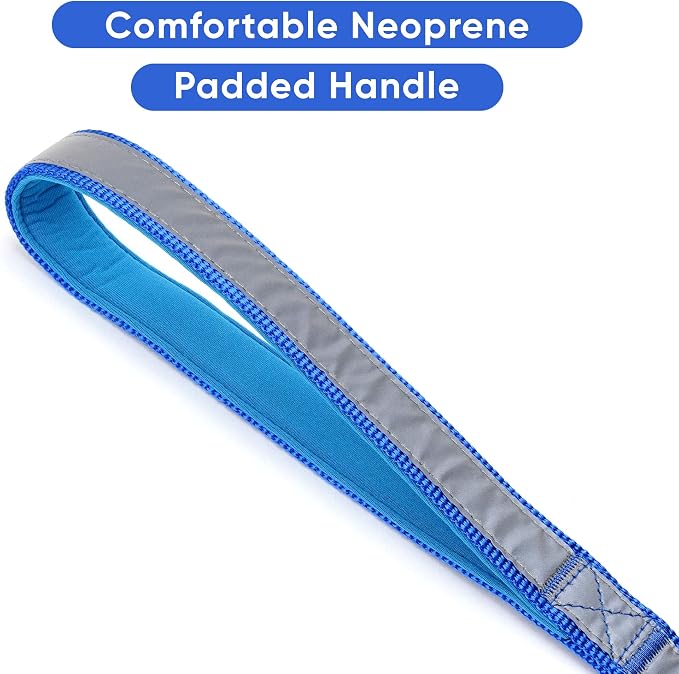 Pawtitas 6 FT Padded Dog Leash with Comfortable Neoprene Padding Handle - Blue Lead | Medium Reflective Dog Leash with Highly Reflective Band Perfect for Medium and Large Dogs and Puppies.