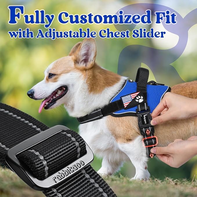 rabbitgoo No Pull No Choke Pet Vest, Adjustable Pet Harness with Molle | Small Sized Dog Harness, Reflective, Easy Wearing with One Buckle for Walking, Training, Blue, S