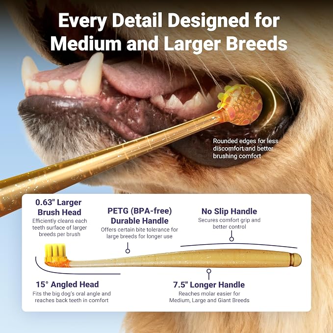 Dog Toothbrushes for Medium and Large Dogs, 2pcs, Ultra Soft Bristle, Long Durable Handle, Pet Tooth Brush and Dental Care Kit, Super Thin Bristle Gentle on Gum for Sensitive Pets, Amber