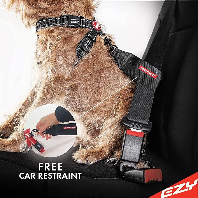 EzyDog Chest Plate No Pull Dog Harness, Escape Proof - Small, Denim | Car Restraint Included, Comfort EVA Padding, Adjustable for All Breeds, Quick Release Buckles, Reflective Stitching