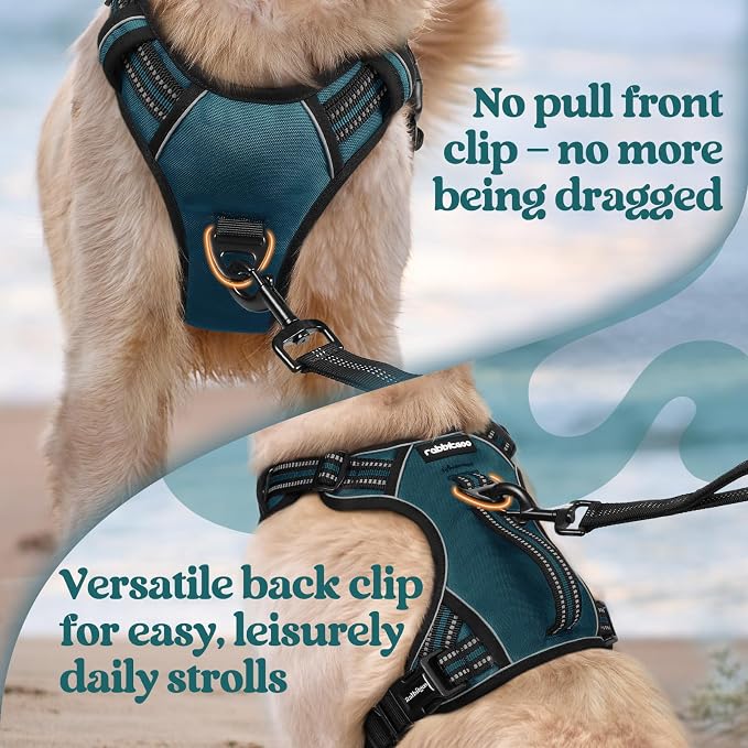 rabbitgoo Large Dog Harness, Easy Wear with 3 Buckles and Lift Handle | No Pull with Front Clip for Walking, Adjustable Soft Padded, Reflective, Easy Control, Green, Large