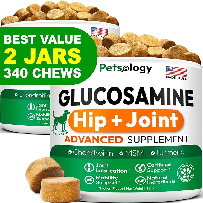 (2 Pack) Glucosamine for Dogs, 340 Chews, Hip and Joint Supplement for Dogs | MSM - Turmeric - Omega 3 - Joint Pain Relief - Advanced Support for Dog Health for Large, Medium & Small Breeds, Made in USA