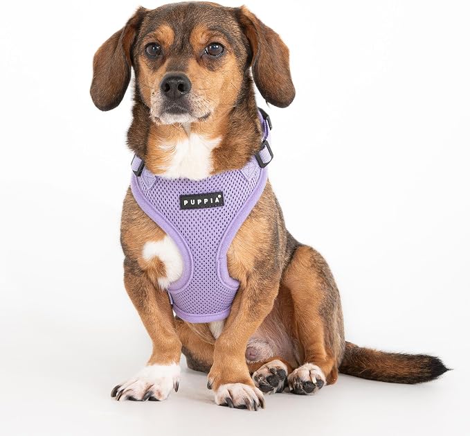Puppia Ritefit Dog Harness B (Over-The-Head) Mesh Adjustable Chest and Neck for Small Dogs, Violet, Large