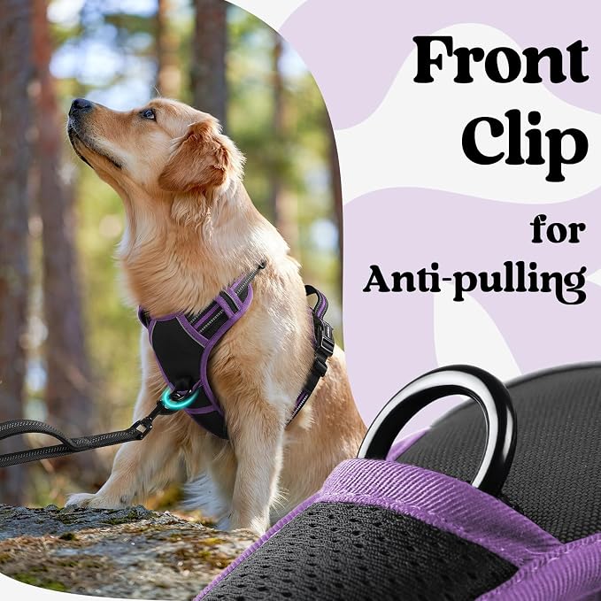 rabbitgoo Dog Harness Small Sized, Updated Easy On & Off with 3 Buckles | No Pull No Choke, Walking with 2 Clips and Handle, Adjustable Soft Reflective, Black & Purple, Small