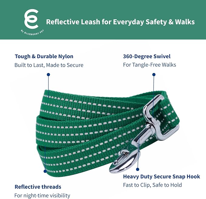Blueberry Pet Essentials Reflective Better Basics Matching Dog Collar Leash Harness Set in Dark Green, Adjustable Collar with Harness & 4 ft Leash for Large Dogs