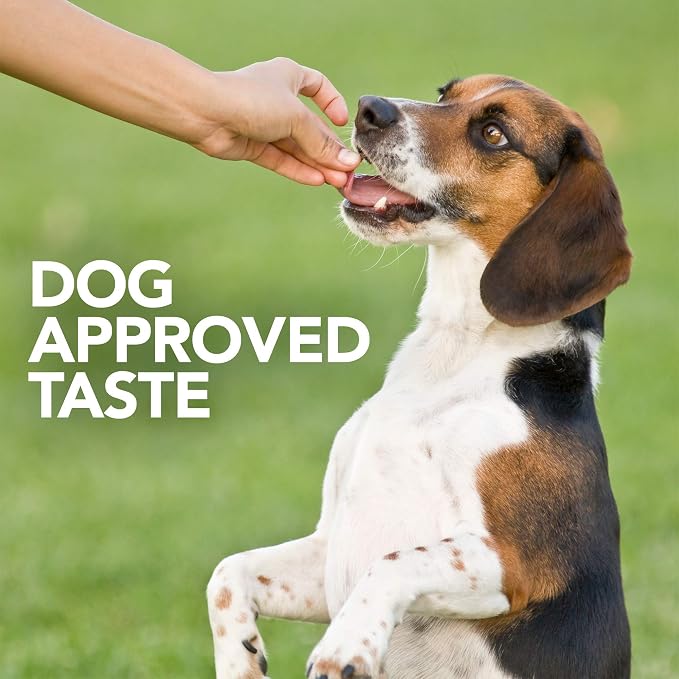 Vet's Best Probiotic Soft Chews for Dogs, Digestive Aid, 90 Day Supply