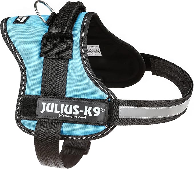 Julius-K9, 162 W, K9-Power Dishes, Aquamarine, 0, Green-Blue