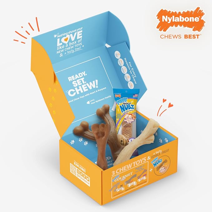 Nylabone Puppy Gift Box, Strong Chew Toys & Treat, Small, 4 Count | Flavor variety, 3 puppy toys & 1 natural treat dog bone, gifts for puppies, teething toys for small puppies up to 25 lbs