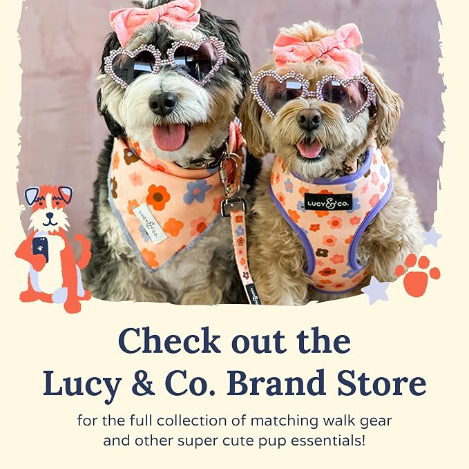 Lucy & Co. The Bouquet No-Pull Dog Harness - Size Small - Vest to Stop Pulling & Walk Easy - Comfortable Leash Training Product w/Adjustable Chest & Neck Straps