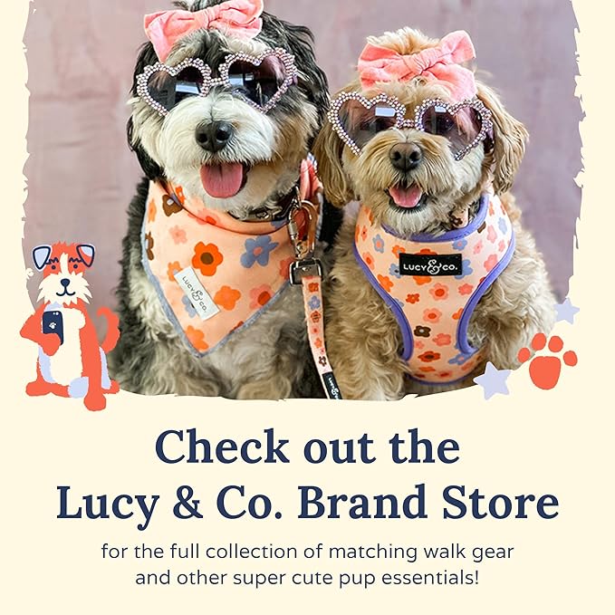 Lucy & Co. The Bouquet No-Pull Dog Harness - Size X-Small - Vest to Stop Pulling & Walk Easy - Comfortable Leash Training Product w/Adjustable Chest & Neck Straps