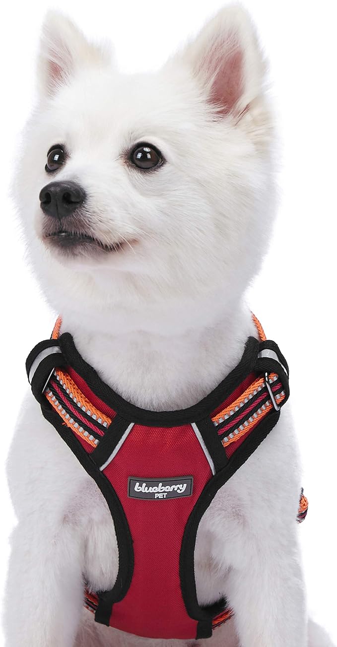 Blueberry Pet Soft & Comfy 3M Reflective Dog Harness Vest | Mesh Padded No Pull Dog Harness w/Back Clips | Multi-Colored Stripe - Orange and Black | Reflective Dog Harness for Large Dogs