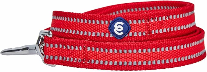 Blueberry Pet Essentials Reflective Better Basics Dog Leash, Rouge Red, 5 ft x 5/8", Small, Leashes for Dogs