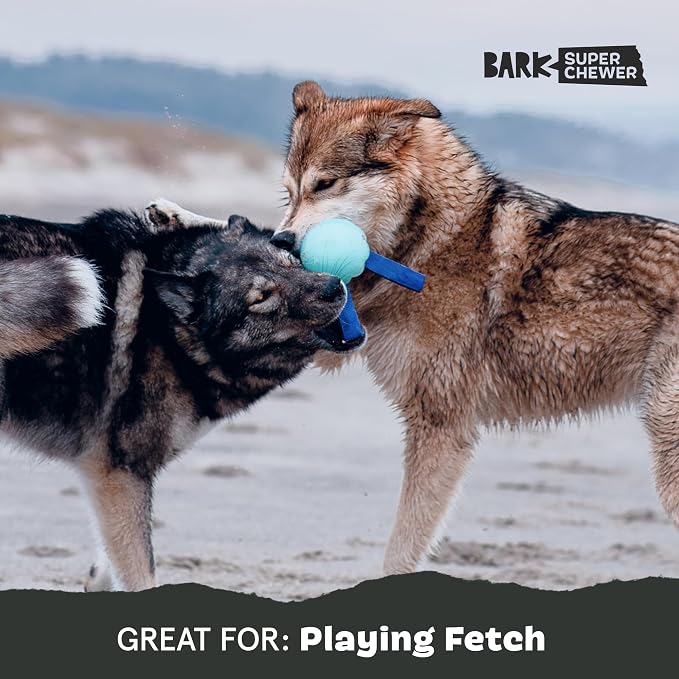 BarkBox Jelly Fetch Dog Toy - for Medium Dogs | Perfect for Tug and Fetch Play, Durable Design with Strong Nylon Straps for Long-Lasting Fun
