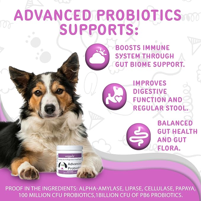 Waggedy Advanced Dog Probiotics Gut and Digestion Food Topper – Probiotic Powder with Digestive Enzymes & Papaya – Gentle Probiotics for Dogs 6+ Weeks – Supports Gut Balance, Comfort & Immune Health