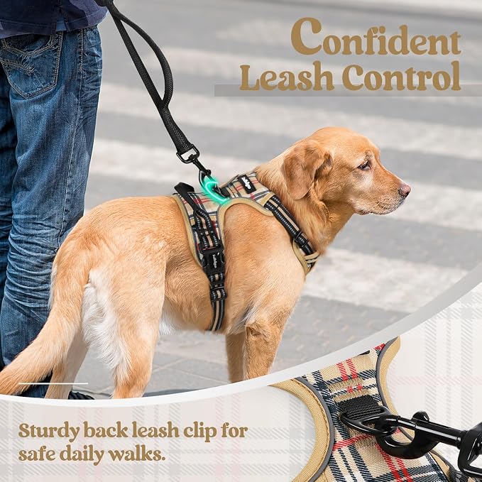 rabbitgoo Dog Harness, No Pull for Large Dogs with 2 Leash Clips, Pet Vest | No Choke with Handle, Adjustable Soft Padded, Reflective, Easy Control for Walking, Beige Plaid, Large