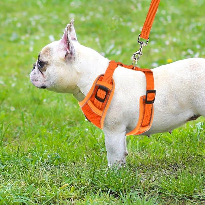 PUPTECK Small Dog Harness and Leash Set, No Pull Adjustable Puppy Cat Harness, Reflective Soft Mesh Pet Vest Small Sized, Orange, M