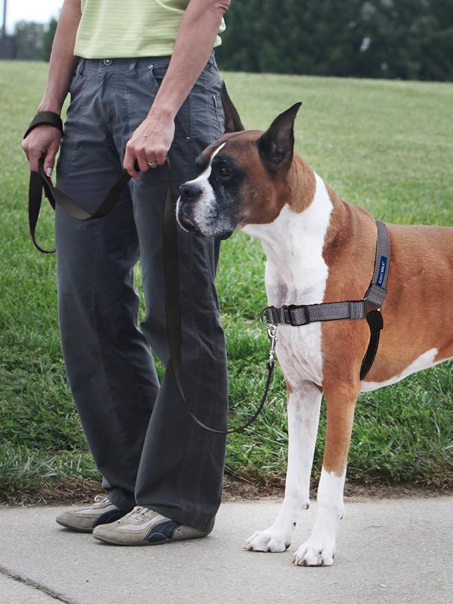 PetSafe Easy Walk Deluxe Dog Harness, No Pull Dog Harness – Perfect for Leash & Harness Training – Stops Pets from Pulling and Choking on Walks – Large, Steel