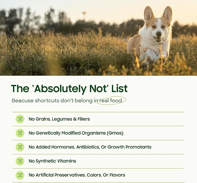 smallbatch Pets Freeze Dried Raw Dog Food, Turkey Recipe, 14 oz, Organic High Protein Dog Food, Grain Free, Made in the USA, Humanely Raised Meat, Single Protein, for Picky Eaters, Hydrate & Serve