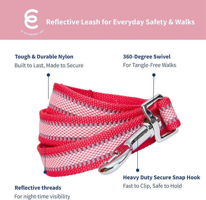 Blueberry Pet Essentials Reflective Dog Leash, Puppy Essentials, Gentle Leader for Dogs, French Pink, 4ft x 1in, Large, Durable Polyester, Dog Products, Leashes for Large Dogs Heavy Duty