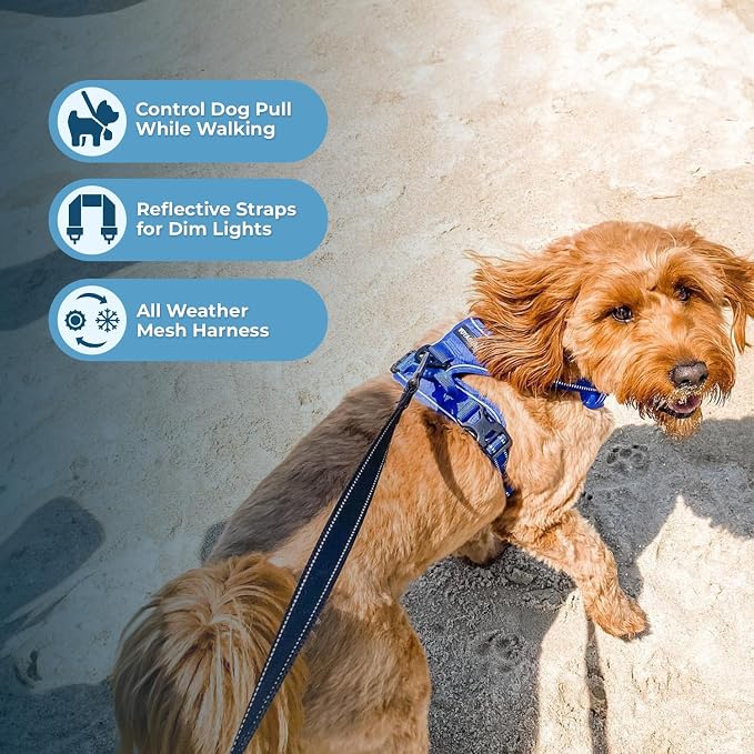 Voyager Dual Attachment No Pull Harness - Royal Blue, X-Small | 13 - 16" in Chest, No Pull Dog Harness, Fully Adjustable, 3M Reflective Technology, Front & Back D-Rings, Walking & Training