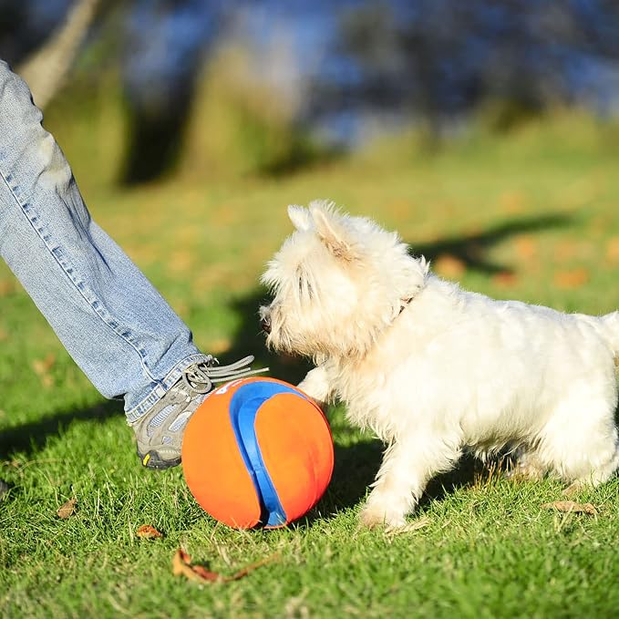 Chuckit! Kick Fetch Ball Dog Toy, Large, 8in, for Large Dogs, Floats | Floats in Water for Interactive Play and Fetch with Large Dogs; Durable Construction Withstands Rugged Outdoor Use