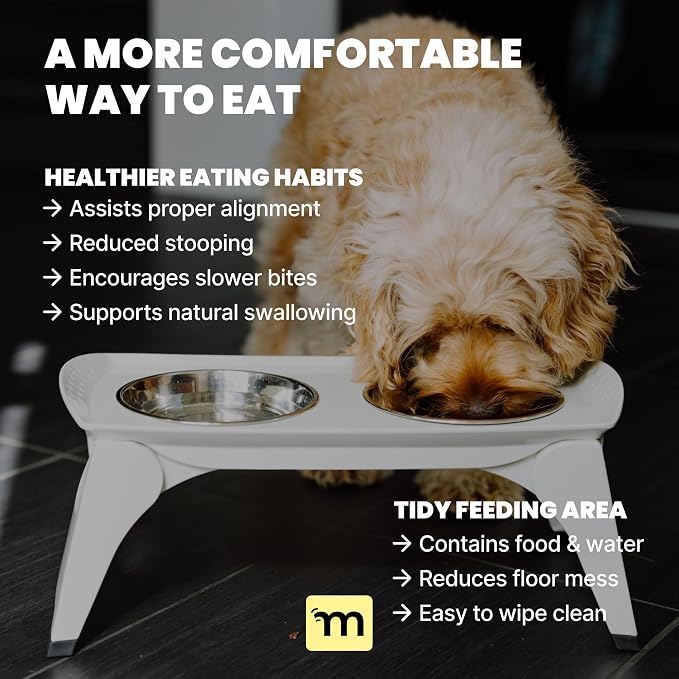 MalsiPree Elevated Dog Bowls for Small Dogs - 6.5" Raised Dog Bowl Stand with Splash Guard - Portable Folding Pet Feeding Station with 2 Stainless Steel Bowls - Travel Road Trip Foldable Collapsible