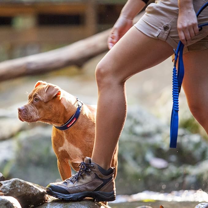 EzyDog Zero Shock - Bungee Dog Leash, Shock Absorbing - 72-Inch, Blue | Padded Neoprene Grip, Traffic Handle, Reflective Stitching, Strong for All Size Pullers, 1" Soft Touch Webbing for Durability