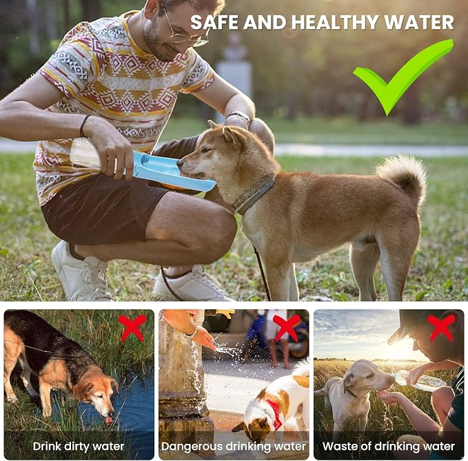 Portable Dog Water Bottle, Foldable, 19oz, SkyBlue