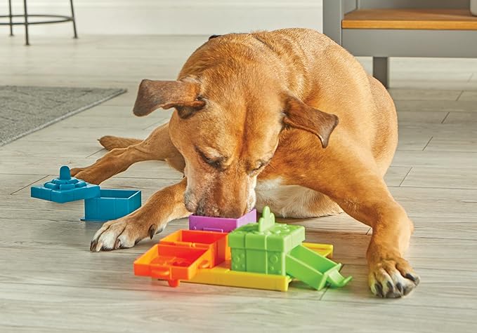 Brightkins Surprise Party Treat Puzzle - Enrichment Puzzls Toys for Dogs, Interactive Gifts for Puppies